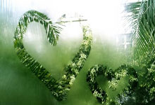 吉维森特对阵查维斯,这场比赛的比分会如何发展?